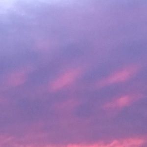 Meet your Posher, Faith